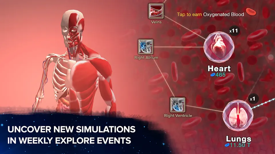Cell to Singularity gameplay screenshot showing human body evolution upgrades