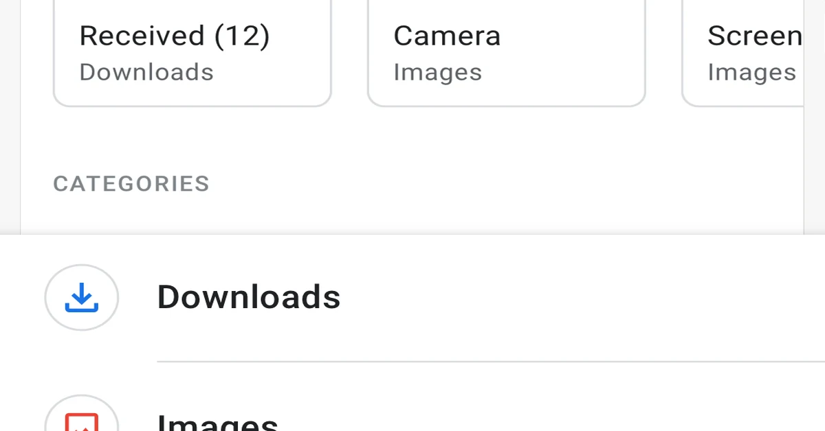 Files by Google showing downloaded files